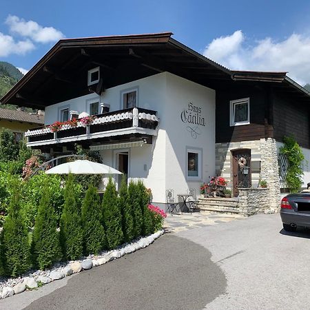Haus Caecilia Διαμέρισμα Sankt Martin bei Lofer Εξωτερικό φωτογραφία